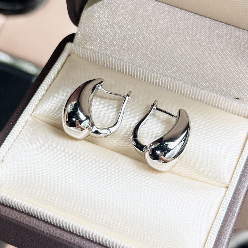 T*f*ny earrings